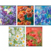 Тетрадь Канц-Эксмо «Дыхание лета», А5, 48 листов, широкая линия