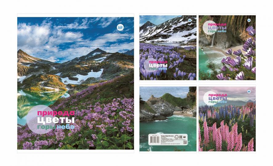 Тетрадь А5 96л клетка общая (скоба) ф.170х205мм 4+0, СЛ, серия Природа 83 горы