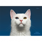 Альбом для рисования Канц-Эксмо «Необыкновенная кошка», 30 л, на гребне, 110 г/м²