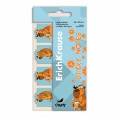 Закладки клейкие бумажные ErichKrause Happy Capy, 25X67 мм, 80 листов