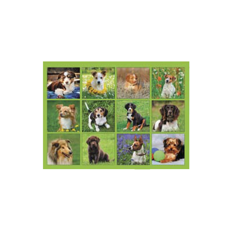 Календарь собаки играют в карты как поставить экспресс на 1xbet в мобильном приложении