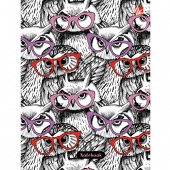 Блокнот Канц-Эксмо «Графика. Совы в очках», А6, 80 листов, клетка, твердый переплет