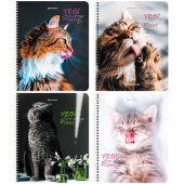 Тетрадь А5 80л. BRAUBERG гребень, клетка Довольные Коты (микс в спайке)