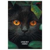 Книжка записная А6 96л "Взгляд черного кота" обложка цвет. ламинир 7БЦ