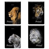 Блокнот А5 146х206мм, 80л, гребень, картон, жесткая подложка, клетка, BRAUBERG