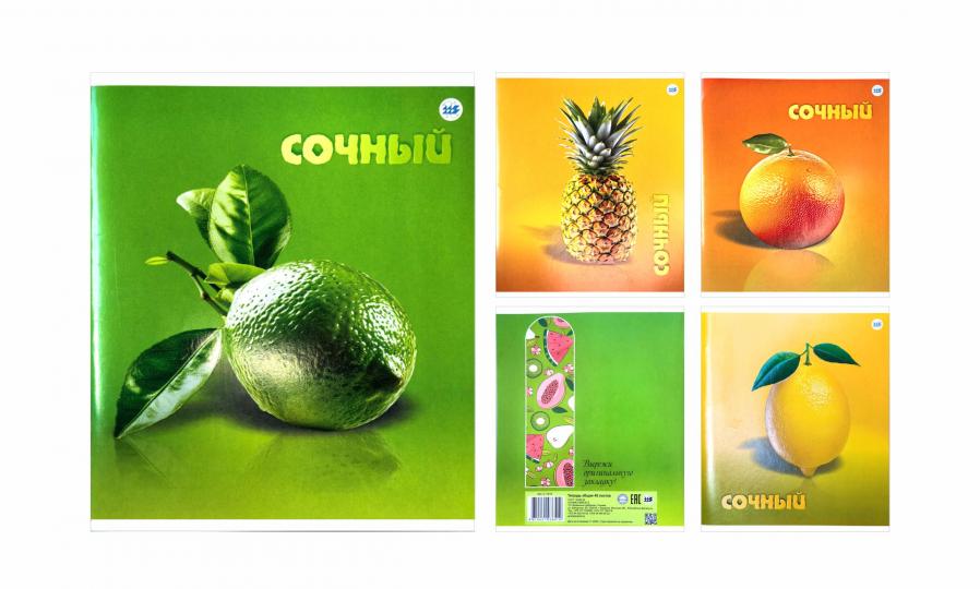 Тетрадь А5 48л клетка общая (скоба) ф.170х205мм 4+0, BЛU, конгревное тиснение, серия Сочный