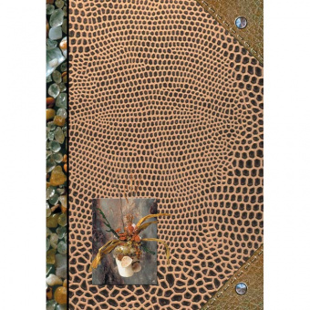 Тетрадь А4 210*297 мм 96л., в клетку "Камешки" обл. ламинир. карт., ассорти (пр-во Беларусь)