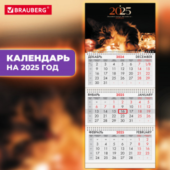 Календарь квартальный на 2025 г., 3 блока, 3 гребня, с бегунком, офсет, BRAUBERG, «Милый котик»