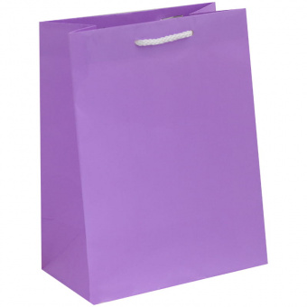 Пакет подарочный ArtSpace «Сиреневая пастель», ламинированный, 22,8×17,8×10,2 см