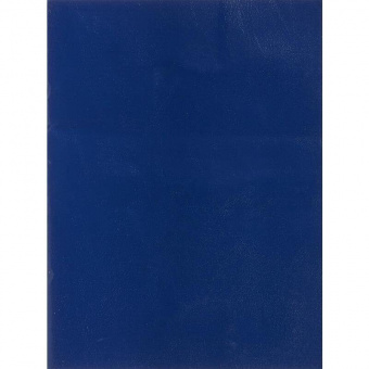 Тетрадь общая А4 96л,на скрепке, в клетку, обложка из бумвинила, внутренний блок - офсетная бумага, обложка синего цвета