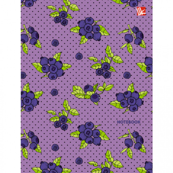 Блокнот Канц-Эксмо «Орнамент. Яркая голубика», А6, 80 листов, клетка, твердый переплет