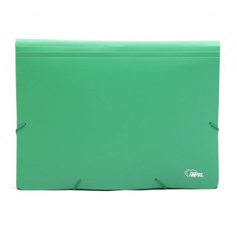 Папка-картотека пластиковая, 12 отделений, зеленая