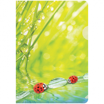 Папка-уголок «Ladybird», А4, 180 мкм, рисунок