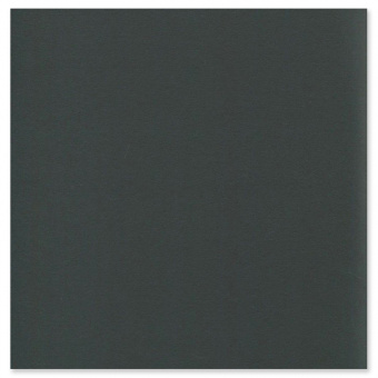 Скетчбук Канц-Эксмо «Яркие наброски (животные)», 195 × 195 мм, 80 л, квадратный, крафт-бумага