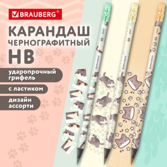 Карандаш чернографитный с принтом МИЛЫЕ КОТЫ, 1 шт., HB, ластик, ассорти, BRAUBERG