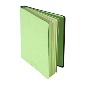 Ежедневник недатированный, А5, 120 × 169 мм, линейка, 160 л., зеленый