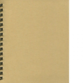 Скетчбук Канц-Эксмо «Коллекция шрифтов», А6-, 80 л., крафт-бумага