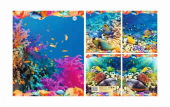 Тетрадь А5 48л клетка общая (скоба) ф.170х205мм 4+0, СЛ, серия Океан 6