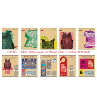 Тетрадь Канц-Эксмо «DIY Collection. Коты и совы», А5, 48 листов, клетка