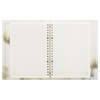 Тетрадь на кольцах А5, 80л., Greenwich Line "View", пластиковая обложка, с разделителями