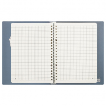 Тетрадь на кольцах А5, 80л., Greenwich Line "Soar up", пластиковая обложка, с разделителями