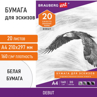 Папка для рисования А4, 20л., 160 г/м2, BRAUBERG, 210х297мм, Орел