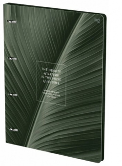 Тетрадь на кольцах А4, 120л., кл. BG Nature
