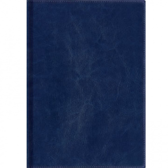 Книга канцелярская Канц-Эксмо, А4, 160 листов, клетка, твердый переплет