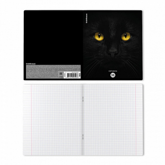 Тетрадь общая ученическая ErichKrause Cats, 96 листов, клетка, матовая ламинация_MIX-PACK