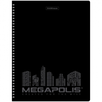 Папка на спирали ErichKrause «Megapolis», 40 вкладышей, 600 мкм, черная