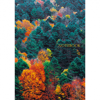 Блокнот Канц-Эксмо «Живая планета. Панорама леса», А4, 100 листов, клетка, твердый переплет