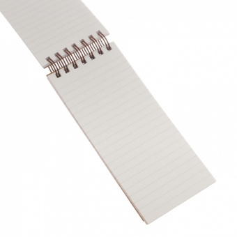 Набор подарочный «Перья»: ежедневник, блокнот, футляр с бумажным блоком для записей, ручка