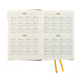 Ежедневник датированный Канц-Эксмо «STATUS» на 2019 год, А5, 176 листов, искусственная кожа, бордовый