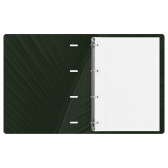 Тетрадь на кольцах А4, 120л., кл. BG Nature