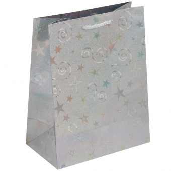 Пакет подарочный ArtSpace, голография, 22,8×17,8×10,2 см., серебряный
