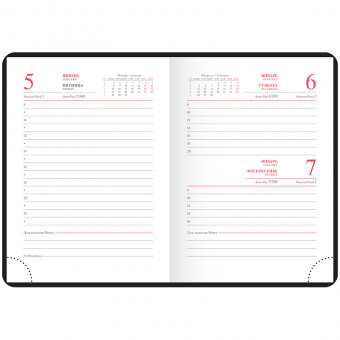 Ежедневник датированный OfficeSpace «Reptile» на 2019 г., А6, кожзам, 176 л., бордовый