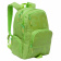 Рюкзак для старшеклассников GRIZZLY, 16 литров, 2 отделения, 30х42х22 см, зеленый