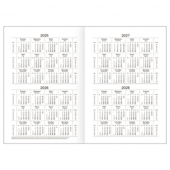 Ежедневник датированный 2025г., А5, 168л., бумвинил, BG, черный
