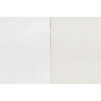 Тетрадь общая А4 96л,на скрепке, в клетку, обложка из бумвинила, внутренний блок - офсетная бумага, обложка синего цвета